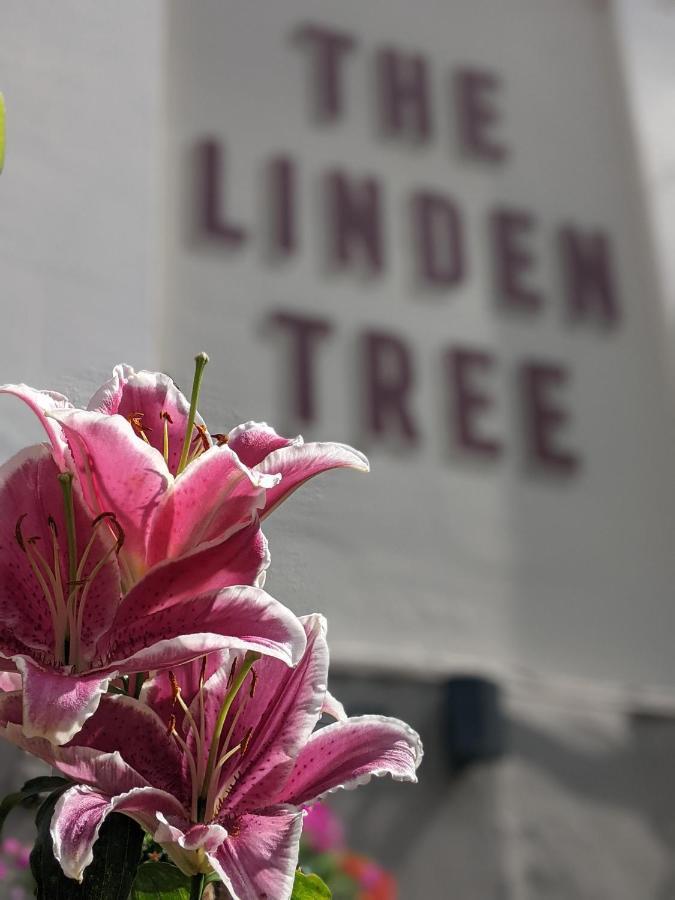 Linden Tree Bed and Breakfast Gloucester Eksteriør billede